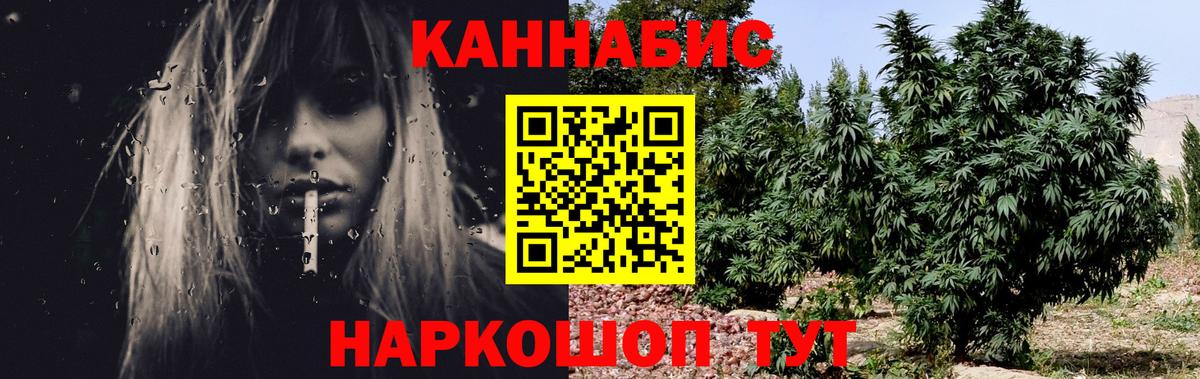 Курчалой  Бошки марихуана гибрид  Конопля конопля  МАРИХУАНА SATIVA & INDICA  Вход с VPN 